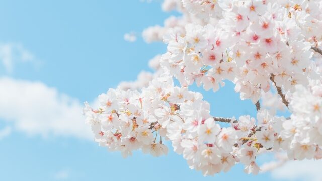 まはろご利用案内